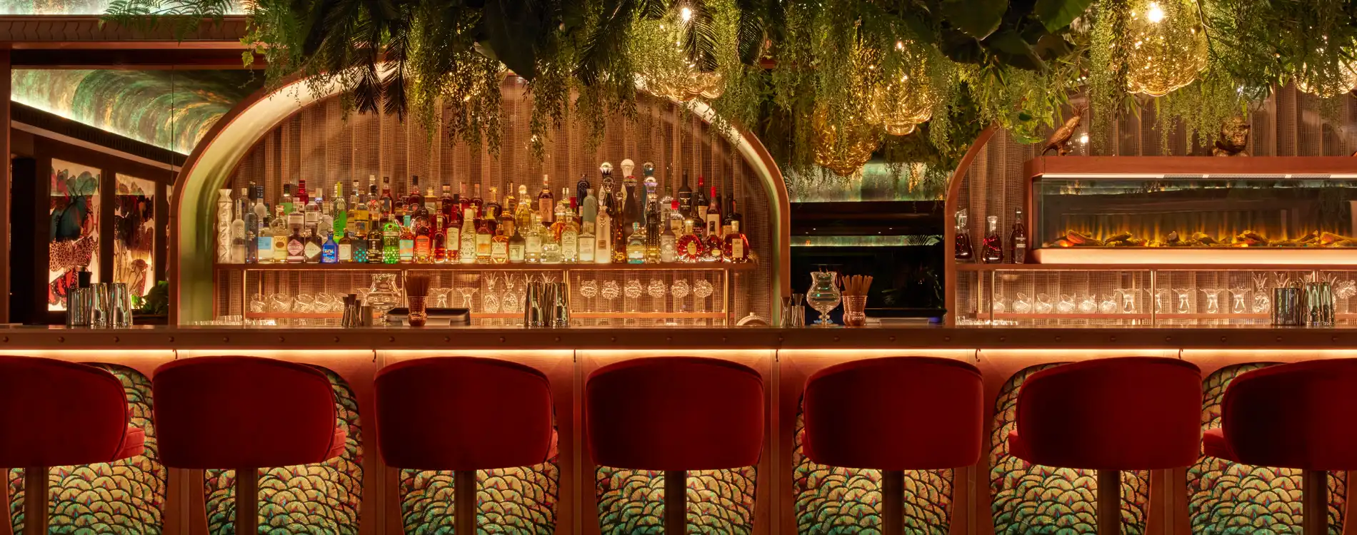 Amazonico Monte-Carlo live music and DJ night