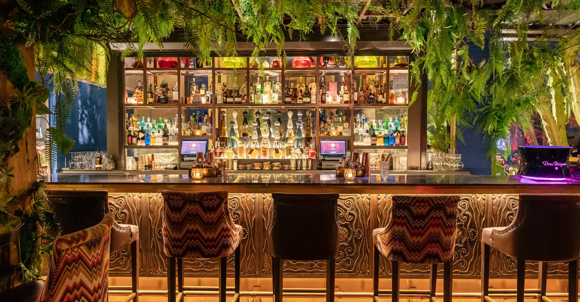 COYA Monte-Carlo Pisco Bar atmosphere