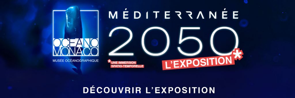 Mediterranean 2050